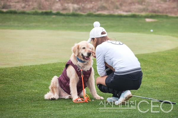 아직 반려동물과 함께하는 스포츠 행사는 시행착오가 많을 수 밖에 없지만 이러한 이색적인 행사는 새로운 바람을 부를 가능성이 있다. 사진=스카이72 골프 앤 리조트