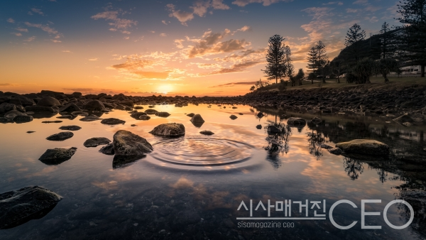 [기고] 마음의 지도 (사고방식) 中에서...