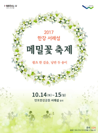 메밀꽃 필 무렵 한강은, 2017 서래섬 메밀꽃 축제