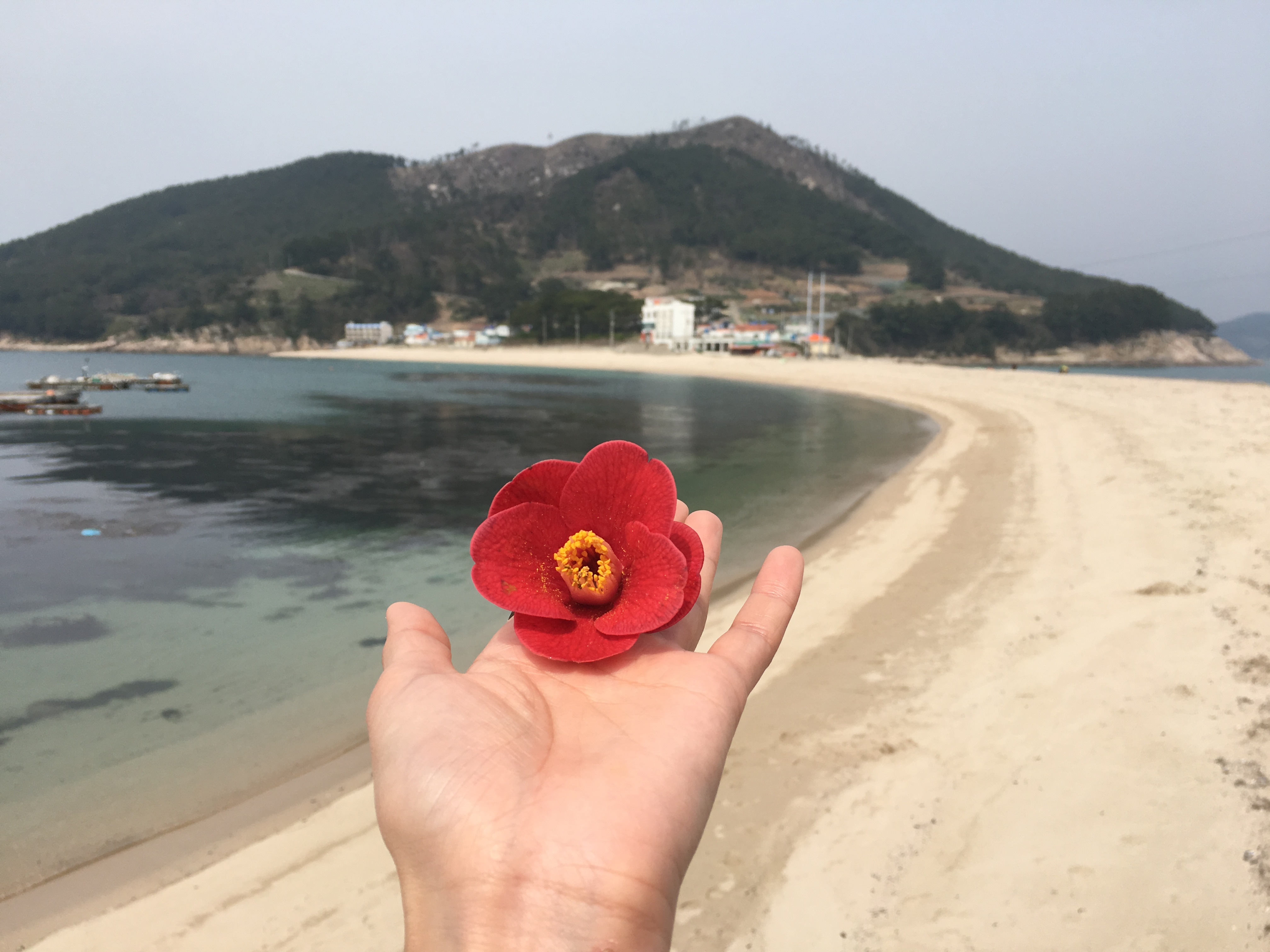 5월 황금연휴 국내여행지 추천